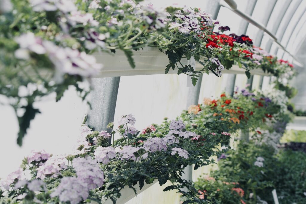 assorted-color flower garden